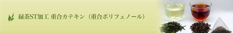 緑茶ST加工　重合カテキン（重合ポリフェノール）