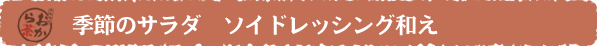 季節のサラダ　ソイドレッシング和え